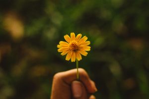 תמונה שווה אלף עוקבים - סודות ההצלחה באינסטגרם